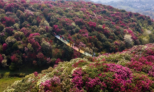 KHÁM PHÁ TRUNG HOA 2026