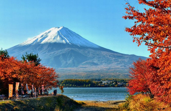 TOKYO - NÚI PHÚ SĨ - NGẮM HOA THEO MÙA