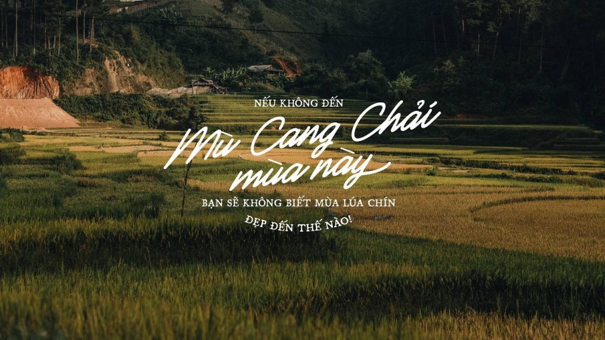 TOUR HÀ NỘI - MÙ CANG CHẢI - TÚ LỆ - SUỐI GIÀNG