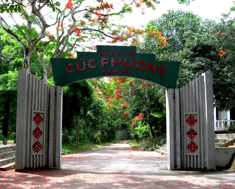 HÀ NỘI - NINH BÌNH - KÊNH GÀ - CÚC PHƯƠNG