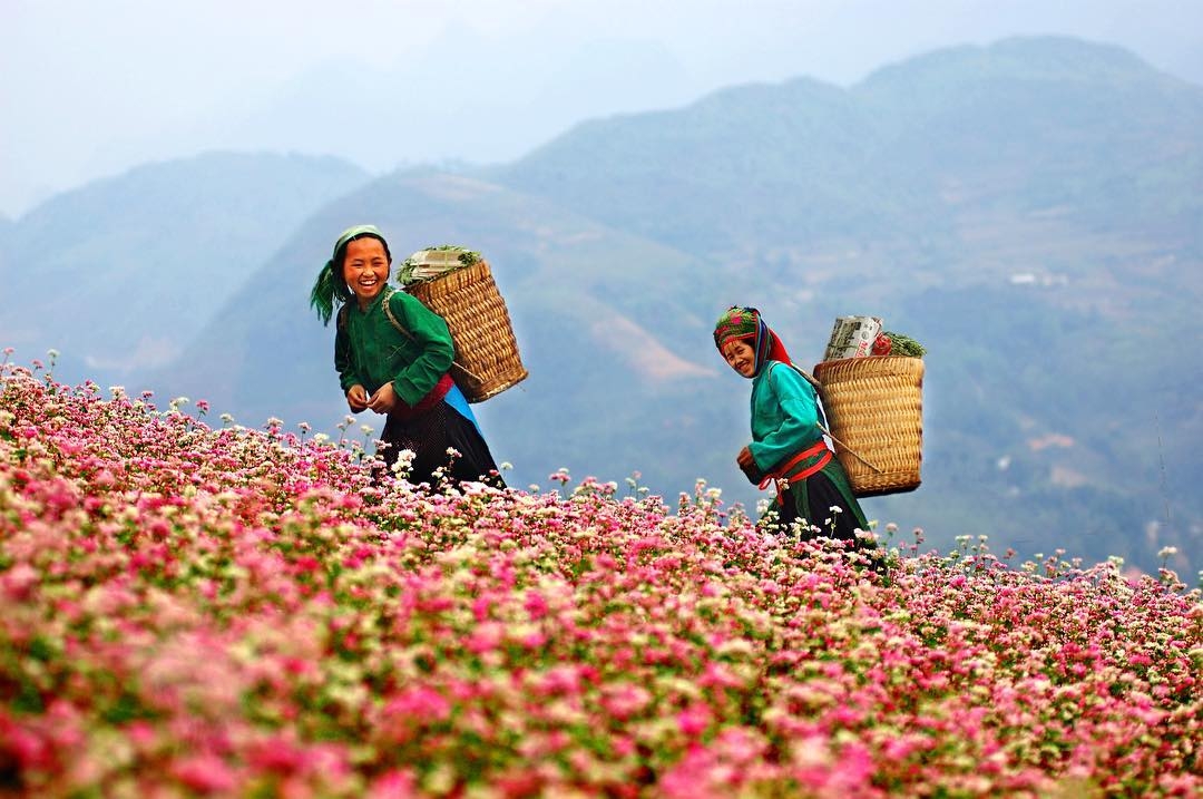 TOUR HÀ NỘI - HÀ GIANG - ĐỒNG VĂN - LŨNG CÚ - SÔNG NHO QUẾ