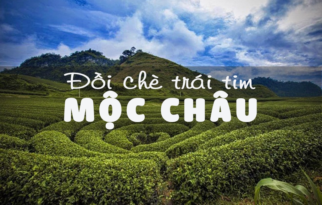 CHƯƠNG TRÌNH HỘI CHỢ VITM - CAO NGUYÊN MỘC CHÂU