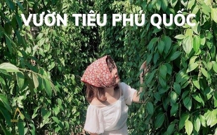 PHÚ QUỐC 3N2Đ CÂU CÁ - LẶN NGẮM SAN HÔ -THÀNH PHỐ KHÔNG NGỦ