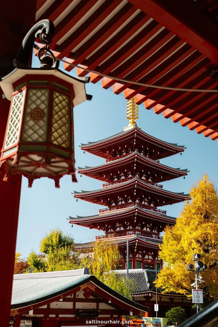 NHẬT BẢN XUÂN HÈ 2026