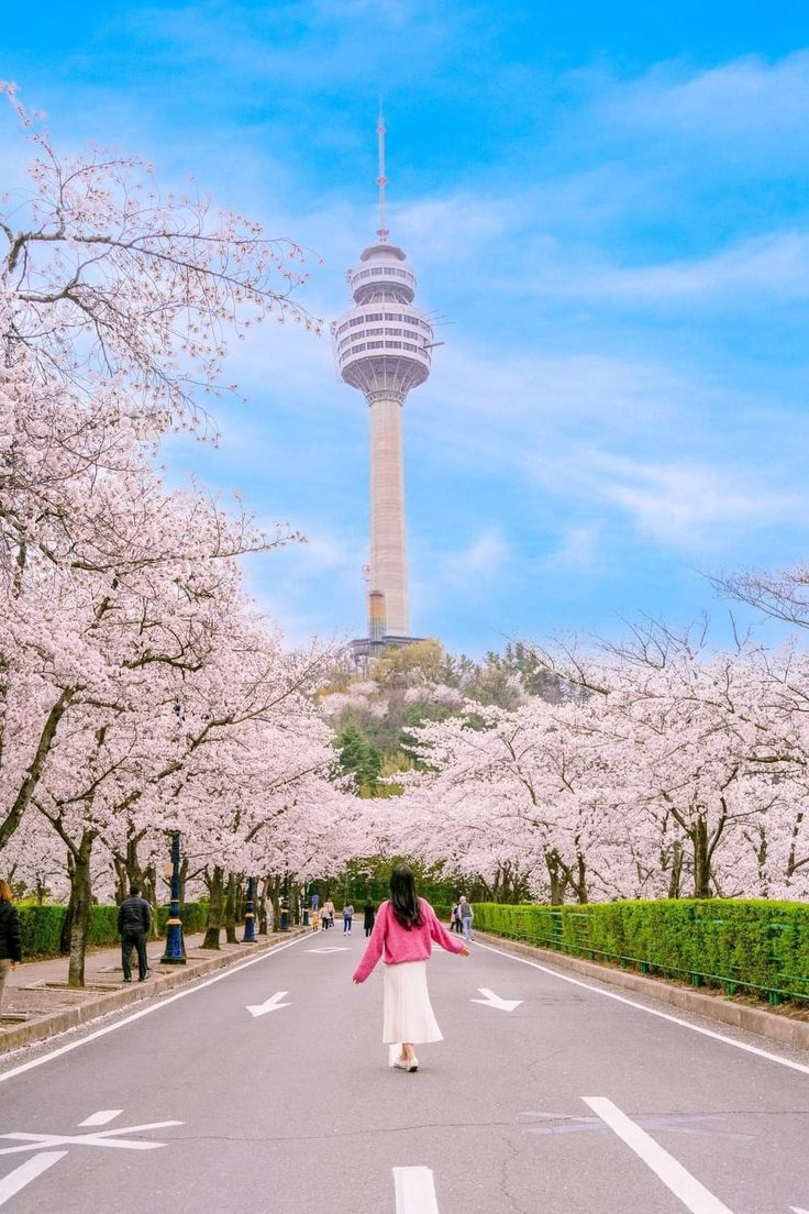 KHÁM PHÁ BUSAN - SEOUL – MÙA HOA ANH ĐÀO