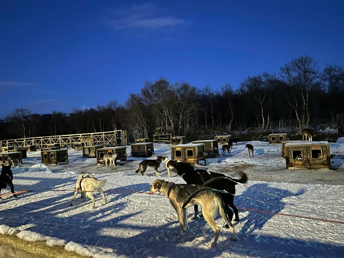 CHẠM TỚI BẮC CỰC