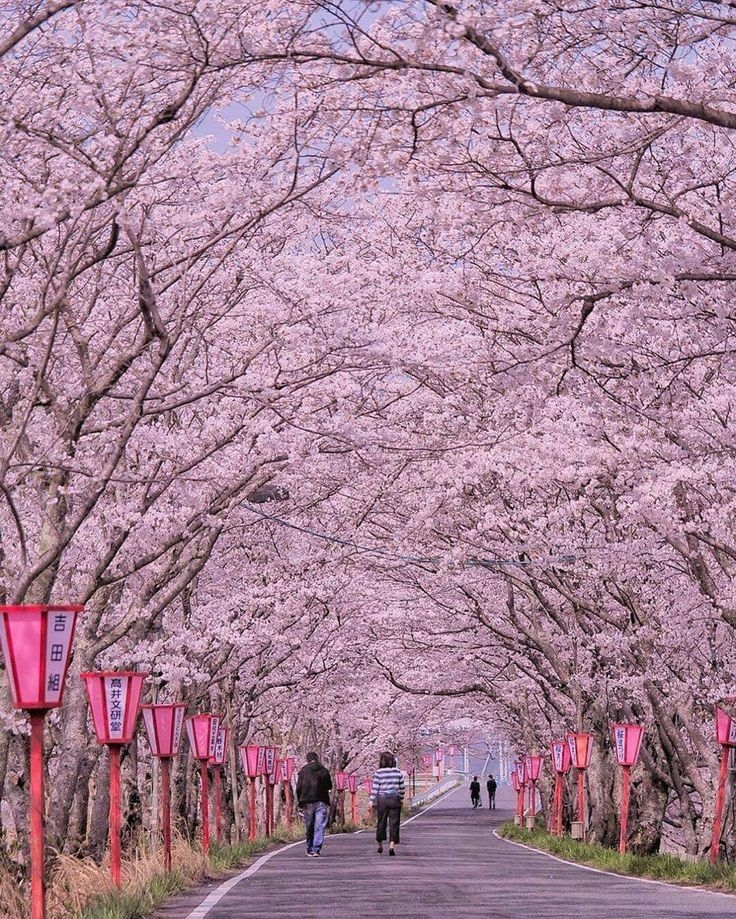 Khám phá Seoul-Busan