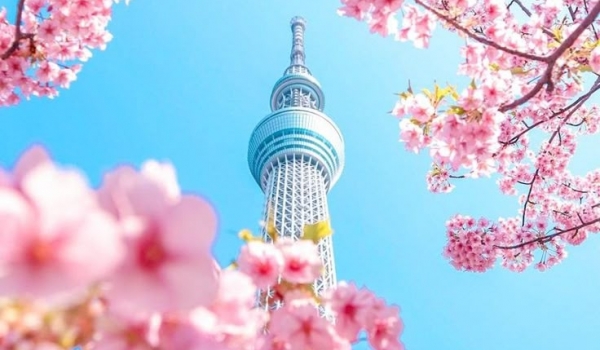 Khám phá Seoul-Busan