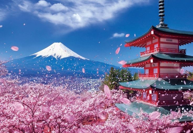 NHẬT BẢN XUÂN HÈ 2026