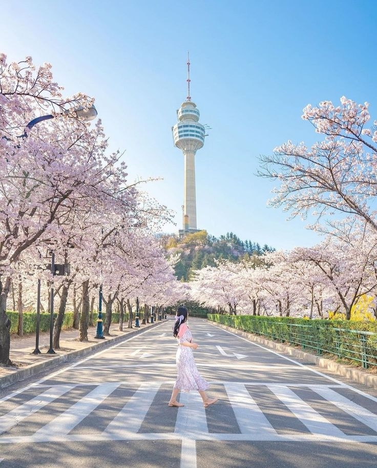 Khám phá xứ sở kim chi Hàn Quốc