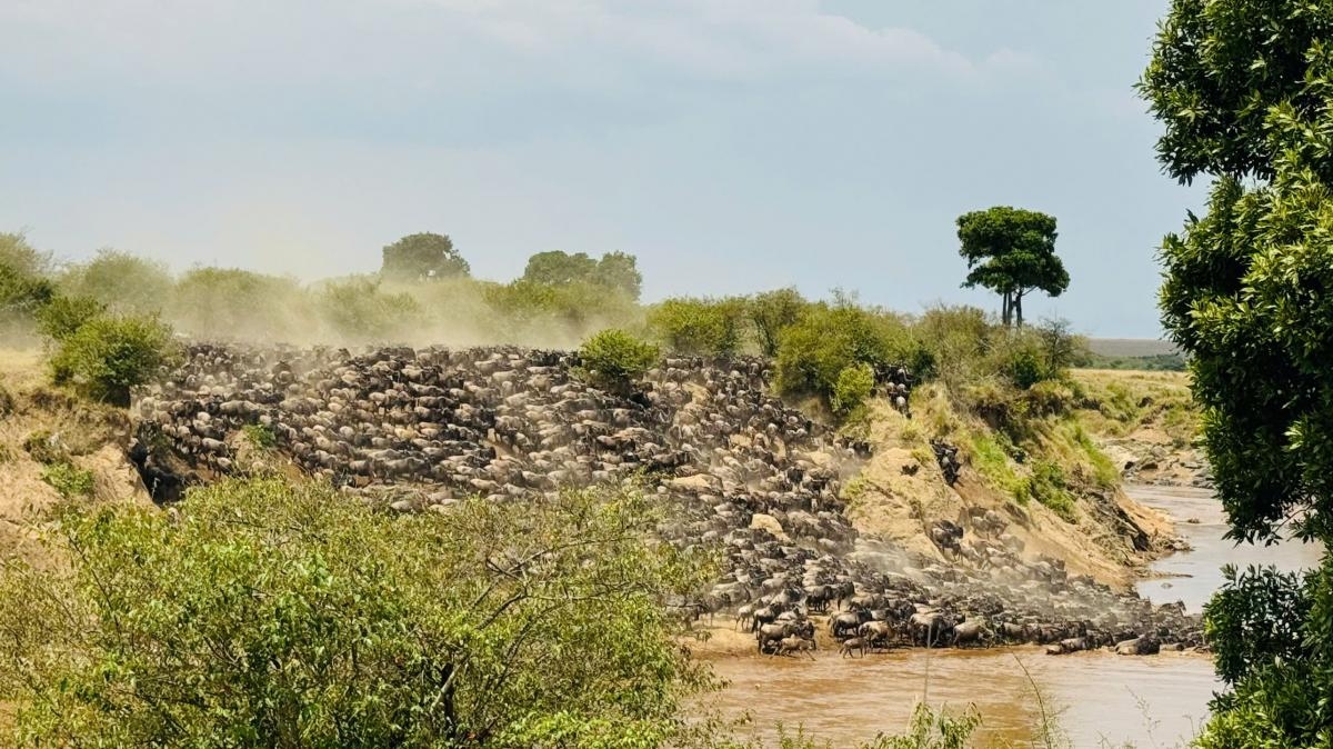 KHÁM PHÁ TRÁI TIM CỦA CHÂU PHI