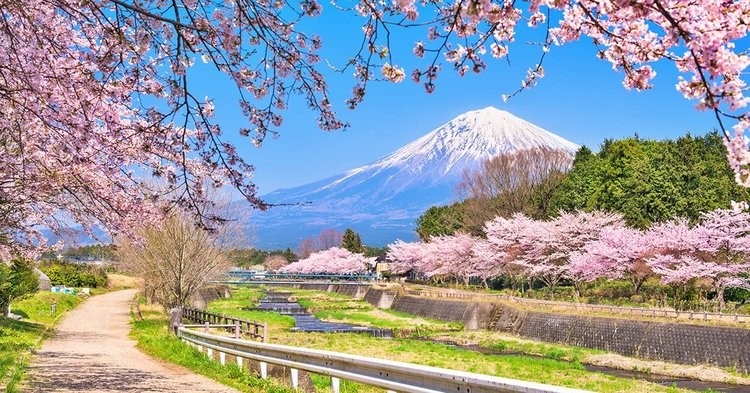 TOKYO – NÚI PHÚ SỸ - KYOTO – OSAKA